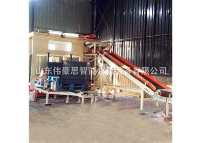 袋料高位碼垛機(jī)工作現(xiàn)場(chǎng) 碳銨全自動(dòng)碼垛設(shè)備定制
