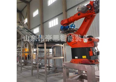 片堿機械手拆垛機可配套哪些設(shè)備？