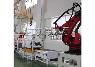 復(fù)合肥自動(dòng)包裝碼垛線 碼垛機(jī)器人非標(biāo)定制
